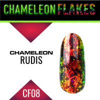 Nails Chameleon Flakes Nail Flakes Chameleon Decorations